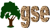 GSE 100